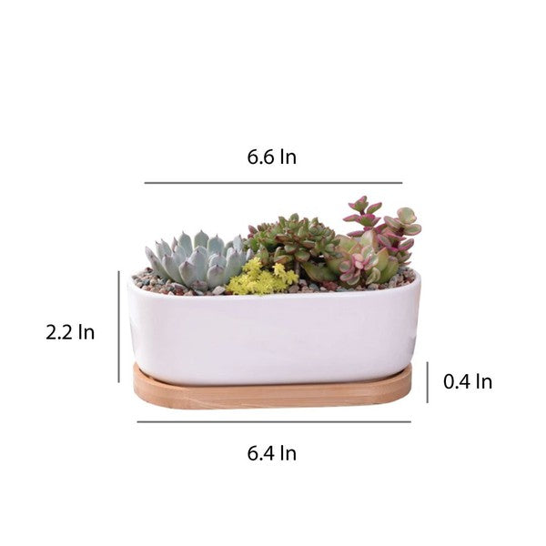 Succulent Planter -Elongated