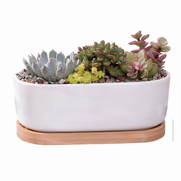 Succulent Planter -Elongated