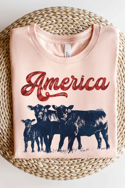 AMERICAN CATTLE T-SHIRT PLUS SIZE